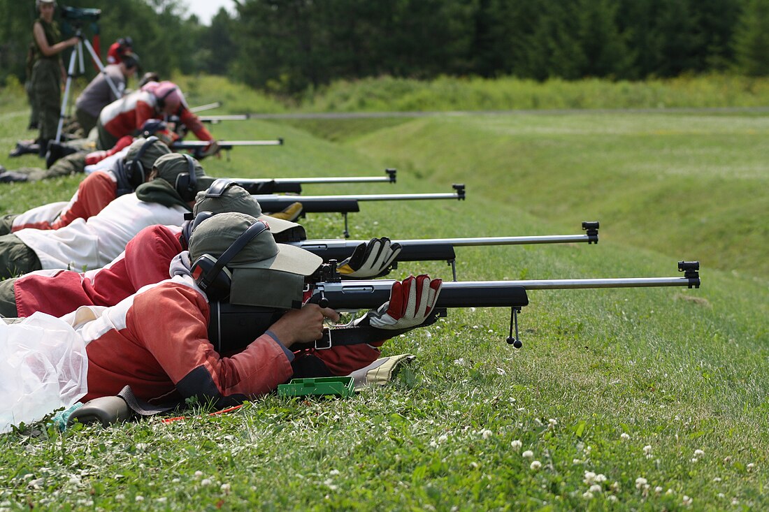 Fullbore target rifle