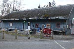 Copake Falls NYCRR station.jpg 