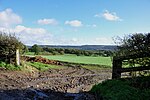 Thumbnail for File:Countryside near Birtley - geograph.org.uk - 3760830.jpg