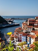 Cudillero And Flowers (179768957).jpeg