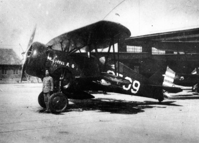 Chinese Hawk III, the primary fighter-attack of the Chinese Nationalist Air Force opposing the Japanese invasion in 1937, until superseded by Polikarp