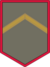 Czechoslovak Legion OF-3 - Major (1918-1919).png