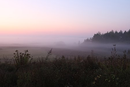 Mist (visible atmospheric water) shortly before sunrise