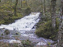 Cascade du déversoir de l'étang de Beauvais à son plus haut niveau (avril).