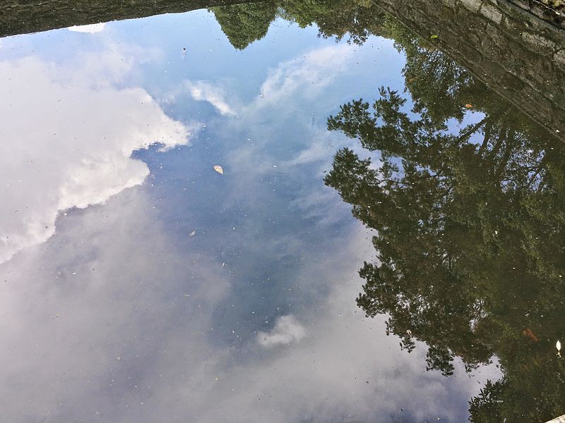 File:Did you see the reflection at the pond.jpg