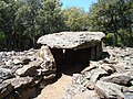 Miniatura per Dolmen del Coll de la Llosa