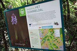 Dommelvallei