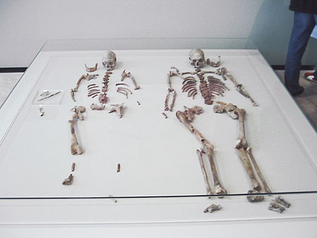 Doppelgrab von Oberkassel skeletons