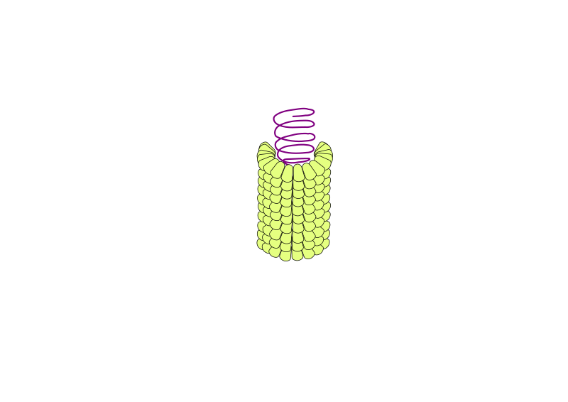 File:DrPaulineNeveu Paris2020 005 virus mosaiq tabac.svg