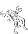 Dumbbell-flys-2.png