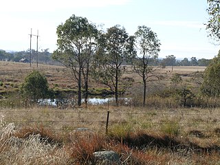 <span class="mw-page-title-main">Severn River (New South Wales)</span> River in New South Wales, Australia