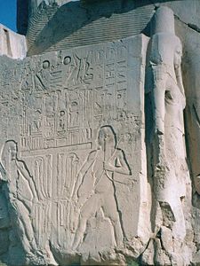 Hâpy, dieu des crues du Nil : en faisant des offrandes et en veillant à ce que la Haute et la Basse-Égypte restent unifiées, le pharaon contribue à garantir que la crue annuelle du Nil se reproduira.