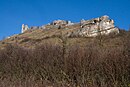 Dolomitisierte Schwammriff-Massenkalkfazies des Ehrenbürg-Plateaus bei Forchheim/Oberfranken