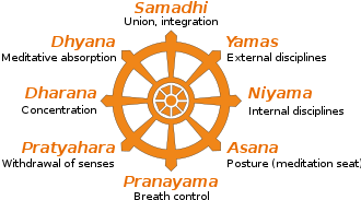 Krishnamacharya emphasised the use of three of Patanjali's eight limbs of yoga, not only asana but also pranayama and dhyana. Eight Limbs of Yoga diagram.svg