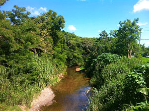 Río Piedras (río de Puerto Rico)