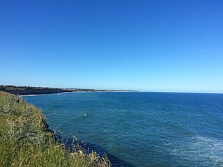 <span class="mw-page-title-main">Uruguay - Buenos Aires Shelf marine ecoregion</span>