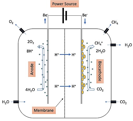 Figure 1: Example of a two-chamber methane-producing system where electromethanogenesis takes place. Electromethanogenesis.jpg