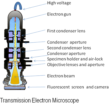 Electronic microscope