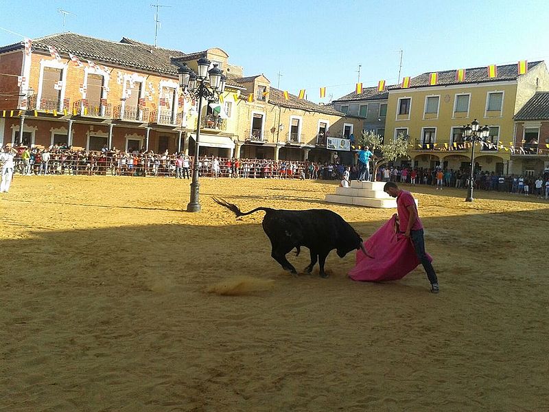 File:Encierro en la plaza Mayor de Villalpando, Zamora (España)..jpg