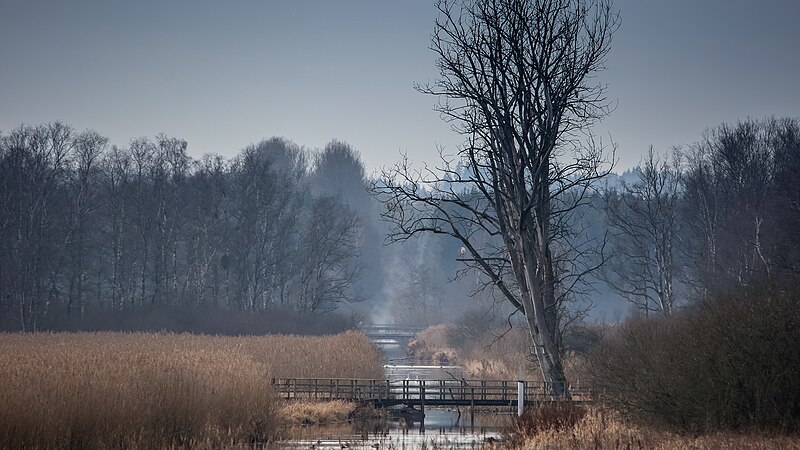 File:Europareservat Federsee in Oberschwaben AW01.jpg