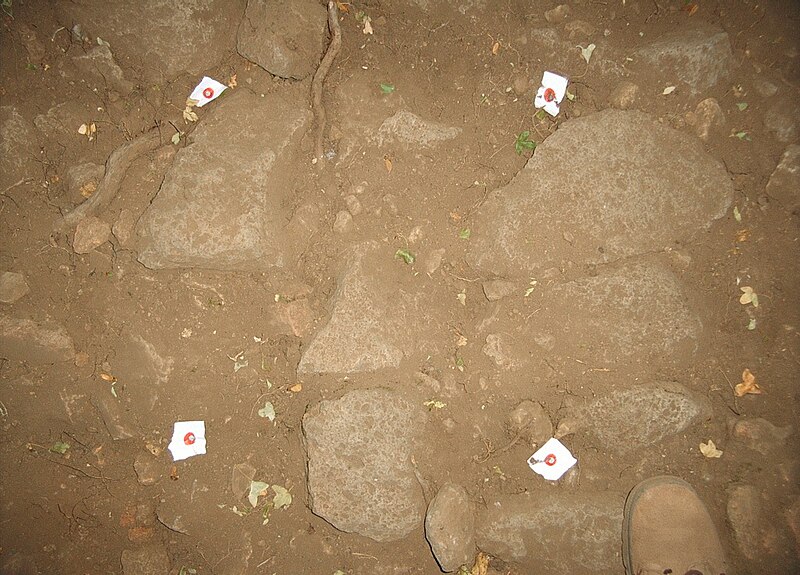 File:Excavation on Monte Casella, Italy.jpg