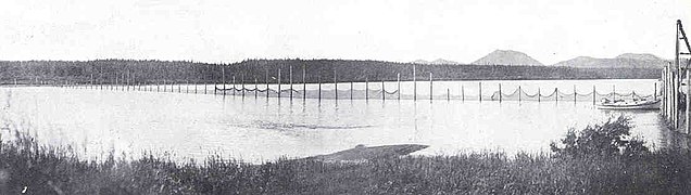 FMIB 34523 Salmon Rack Across Wood River, Alaska.jpeg