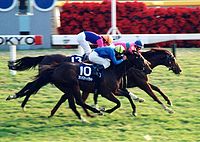テイエムオペラオー: 日本の競走馬 (1996 - 2018) - Wiki 日本語 2022 