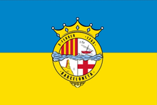 Flag of La Barceloneta.png
