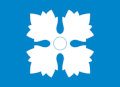 Zastava Občina Skjåk
