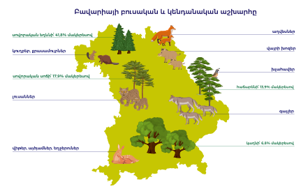 Flora and Fauna of Bavaria