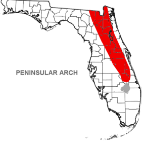 Location of the Peninsular Arch within Florida (in red). Florida Peninsular Arch.png