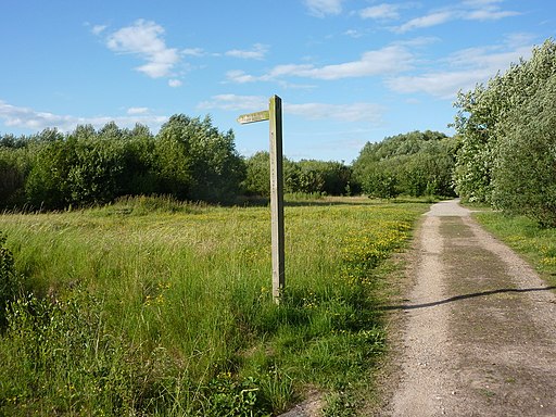 Footpath and meadow at Daneshill Lakes reserve - geograph.org.uk - 1948823