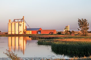 Raymond, Alberta Town in Alberta, Canada