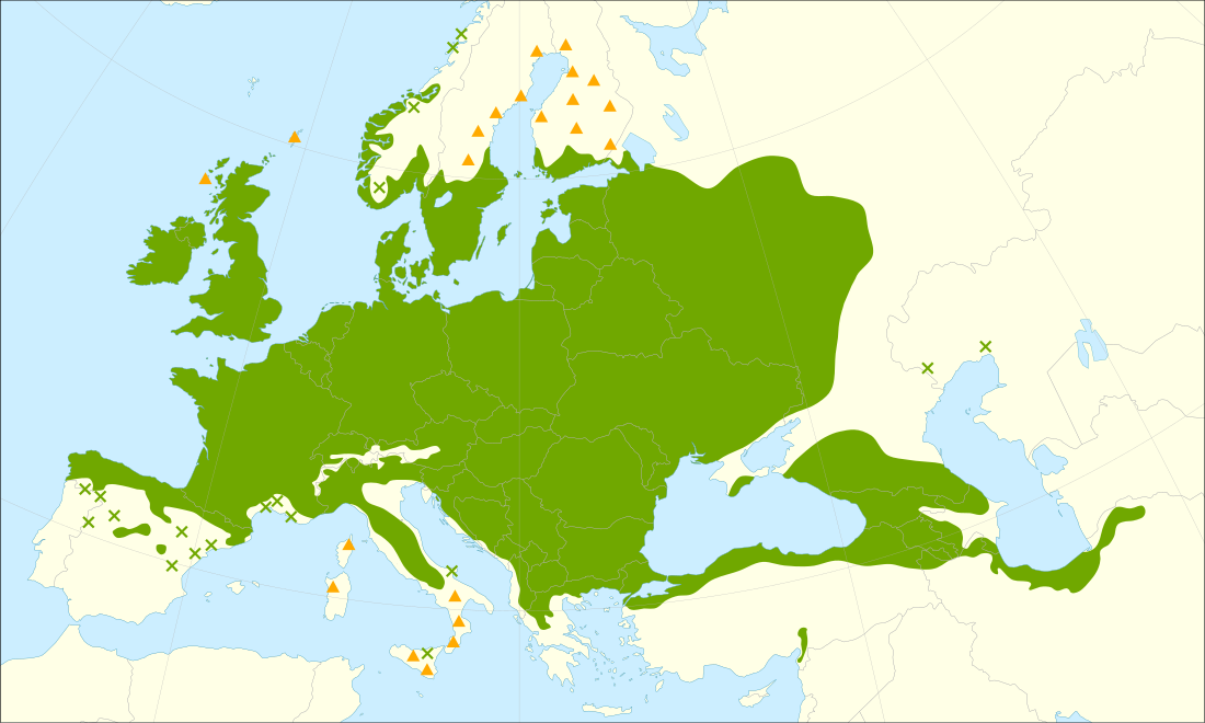 File:Fraxinus excelsior range.svg