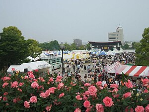 緑町公園会場の様子（2008年）