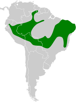 Distribución geográfica del hornero paticlaro.