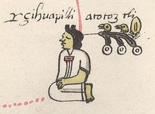 Généalogie des seigneurs de Tenochtitlan - fragment - Atotoztli.jpg