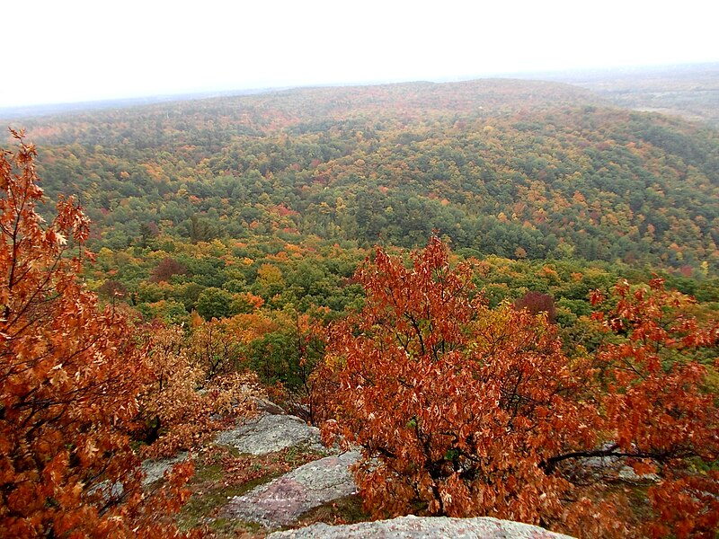 File:Gatineau Park in October 2.JPG