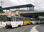 Trams in Gera