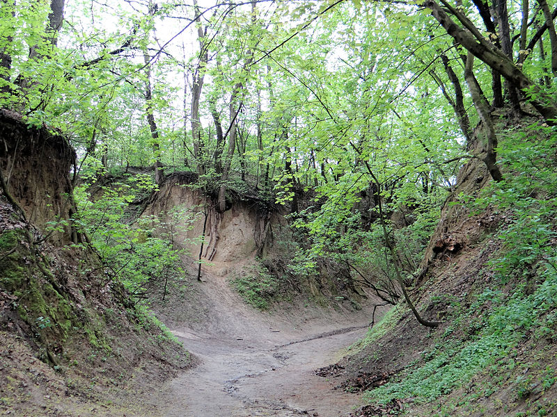 File:Gorge Queen Jadwiga in Sandomierz - 08.jpg