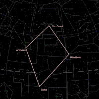 Rey's Virgin's Diamond[10] asterium