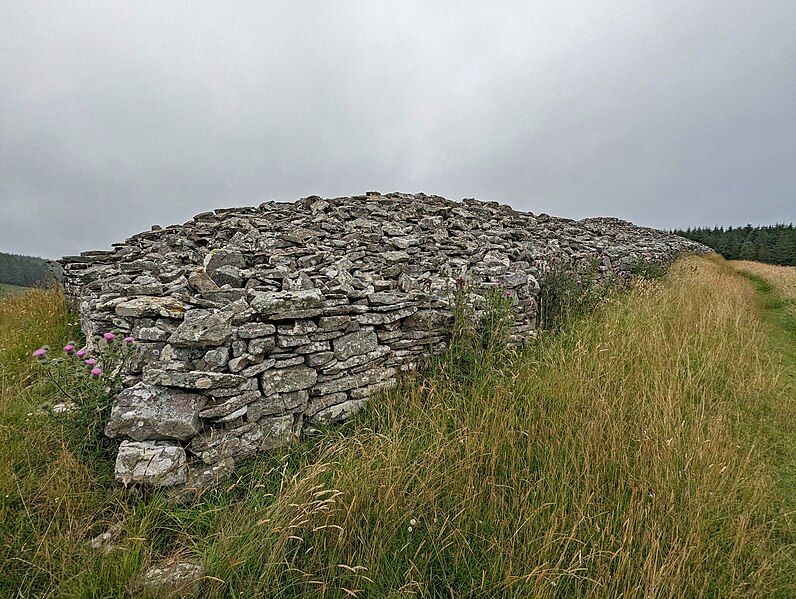 File:Grey Cairns of Camster 10.jpg