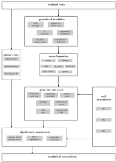 Gene set enrichment analysis