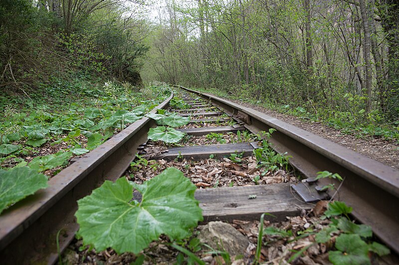 File:Guam Canyon, Abandoned mountain railway track, Russia.jpg