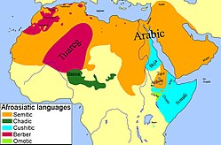 Hamito-Semitic languages.jpg