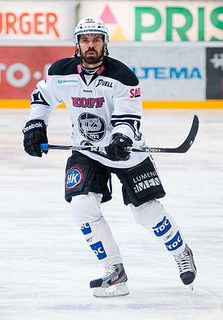 <span class="mw-page-title-main">Hannu Pikkarainen</span> Finnish ice hockey player