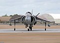 Harrier gr9 zg502 headon arp.jpg