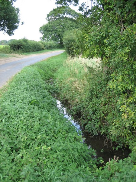 File:Headwaters of Panford Beck feeding into Black Water - geograph.org.uk - 523448.jpg