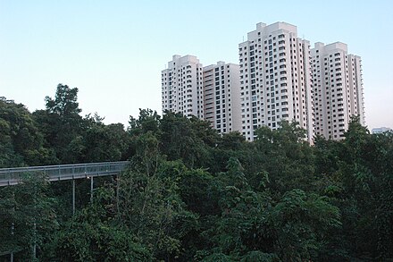 Forest Walk: where jungle and highrises meet