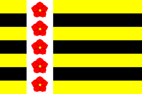 File:Horstadmaas flag.png